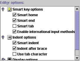 New editor options