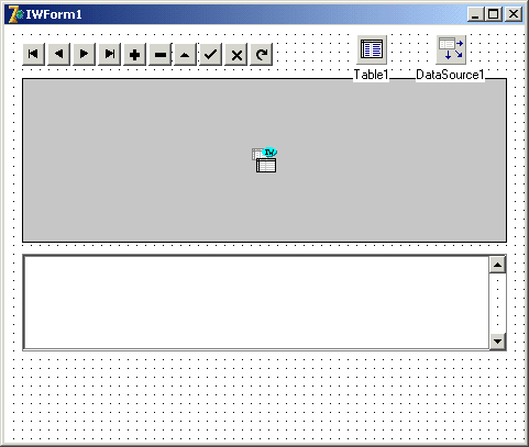 IntraWeb Application Form